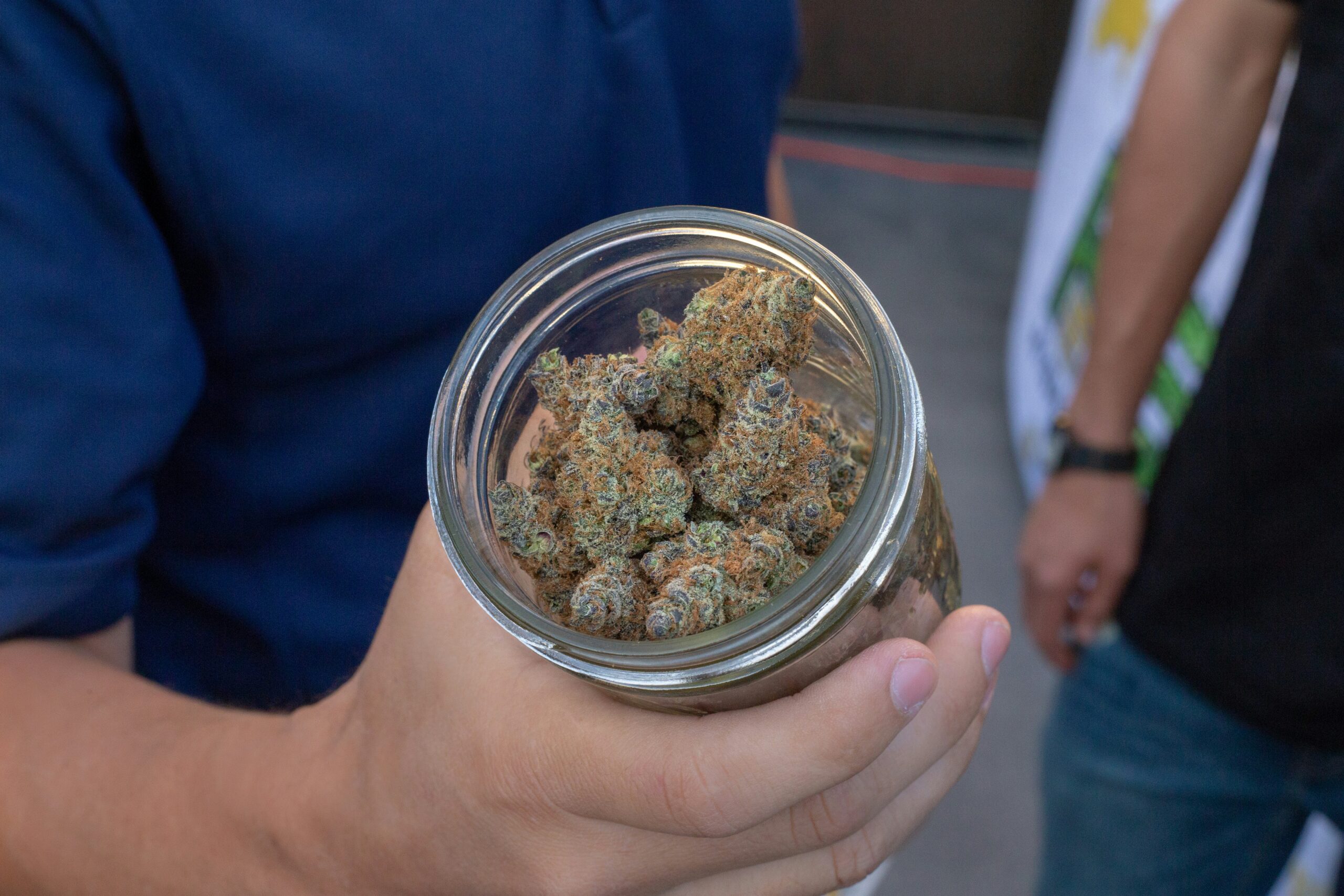 Cannabis buds packed in a clear jar held by a person outdoors